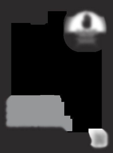 STEEL PRO