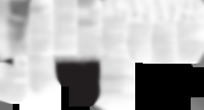 bionaire cm1