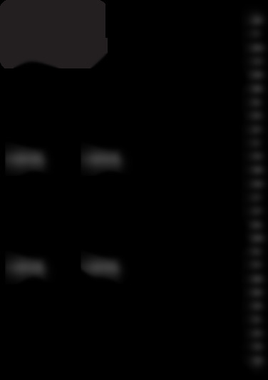 bxpw 2000pe
