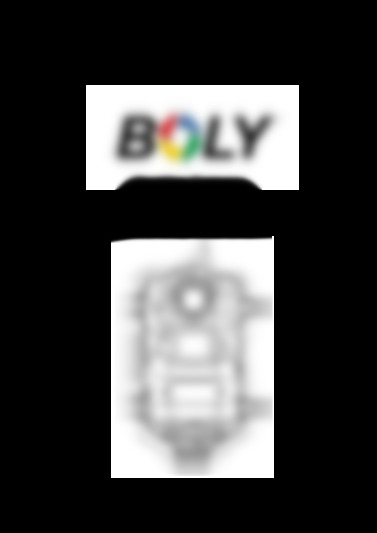 BG962
