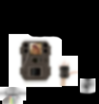 bg330