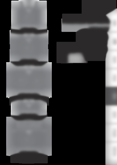 Katana MKII