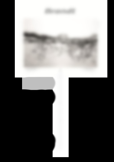 DFH13217W