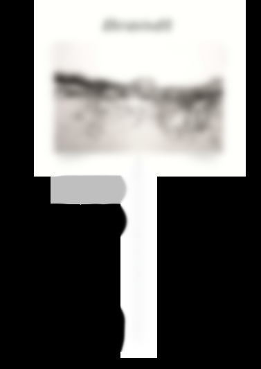 DFH13526W