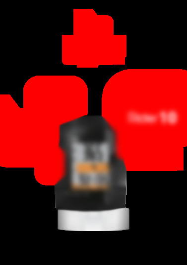 rider 10