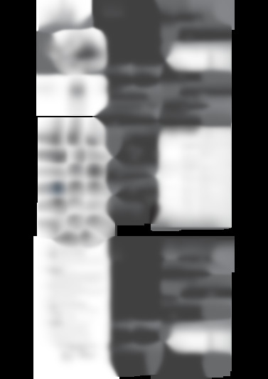 GV8318C0