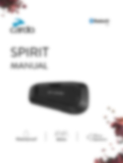spirit