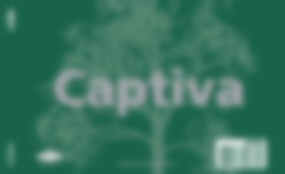 Captiva 2006