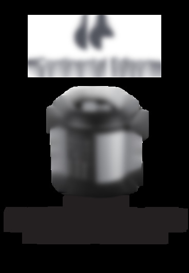 Continental Edison
