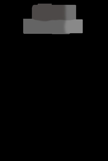 s2