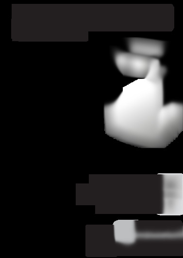 Air Pro14AC