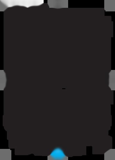 BM 900