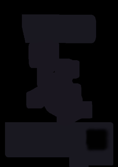VM 230 it