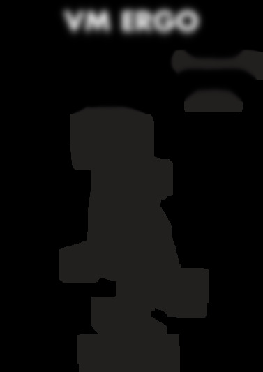 vm ergo