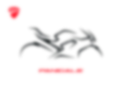 Panigale 4VS 2021
