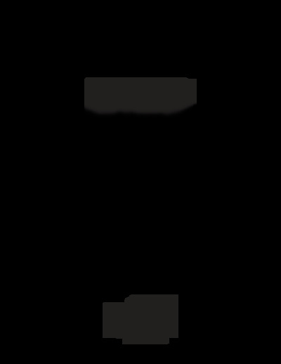 labelmanager 160