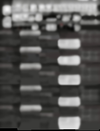 axact 6