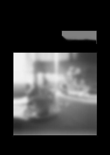 310-SW