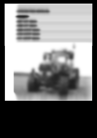 209V_F_P VARIO