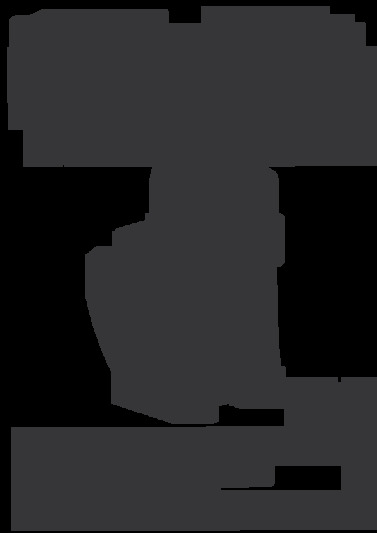 sika 400