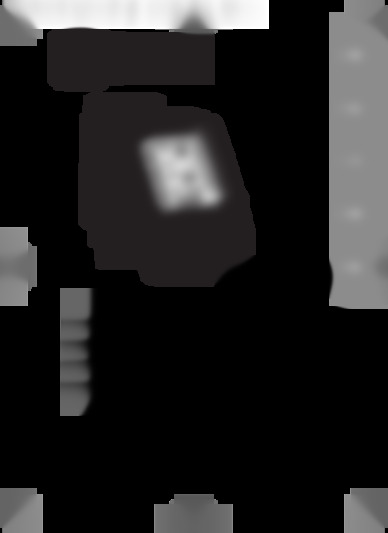 C1060