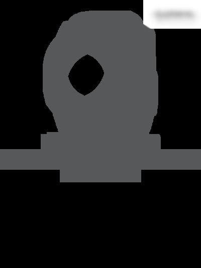 fenix 5