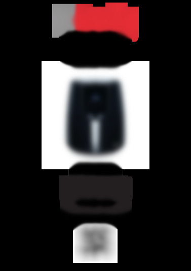 FRY800