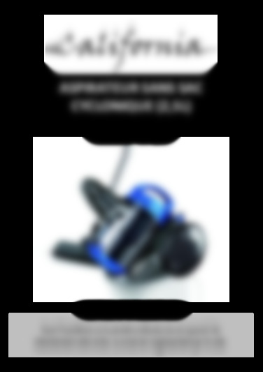 Aspirateur cyclonique sans sac