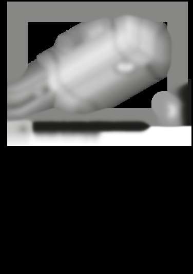 promaticii