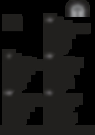 e4daaxc