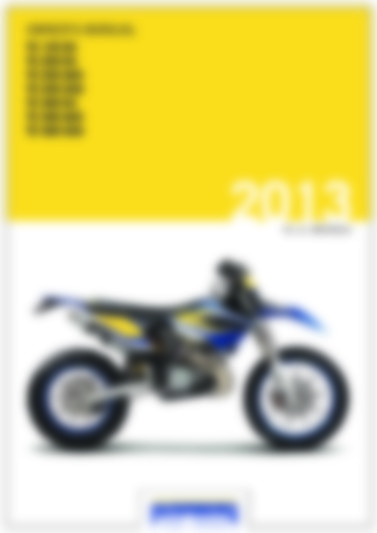 TE 125 EU 2013