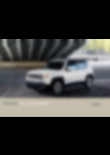 Renegade 2018