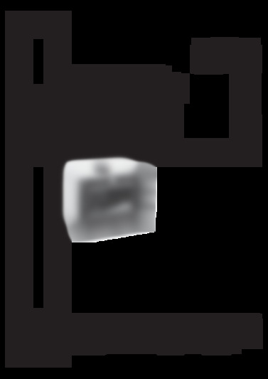 C 31