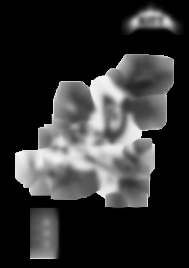 MS216A