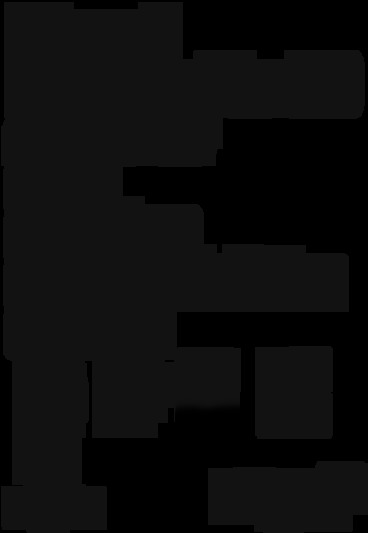ionflow 50