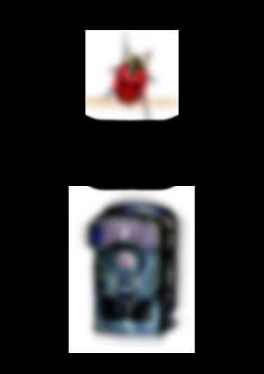 5310
