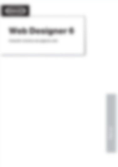 Web Designer6