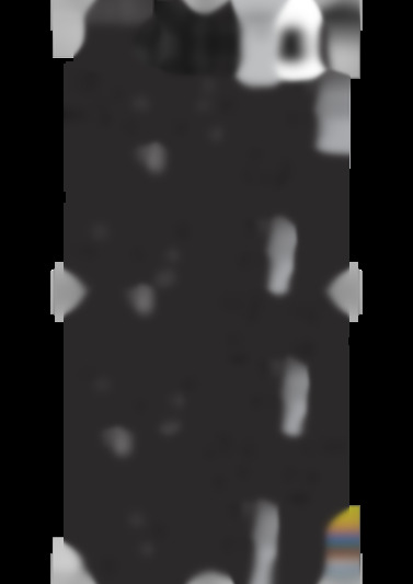 M-091R