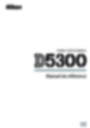 D5300