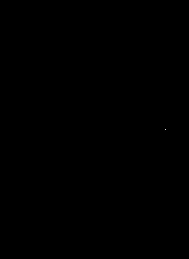 SB-80DX