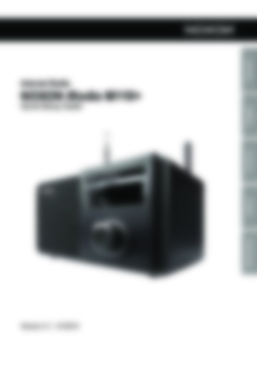 iRadio M110+