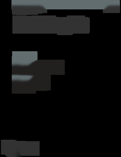 dragon professional 15