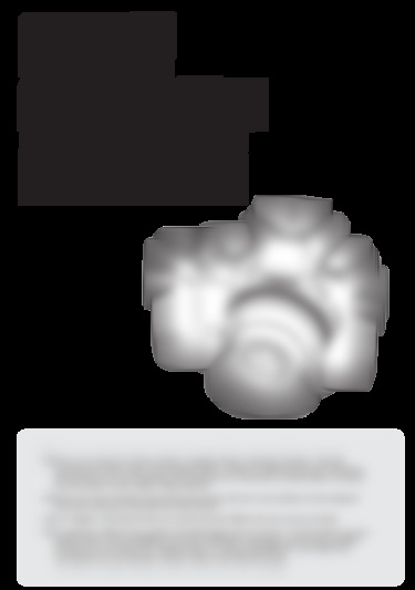 Stylus 1