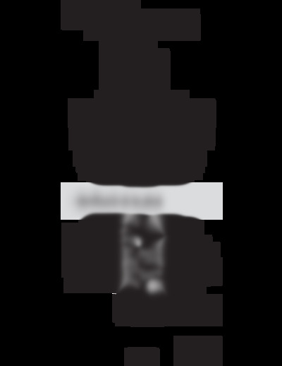 VN-120