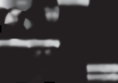 A3