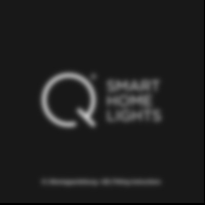 Q flag