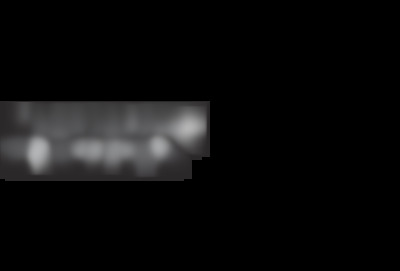 planetary automatic petkit