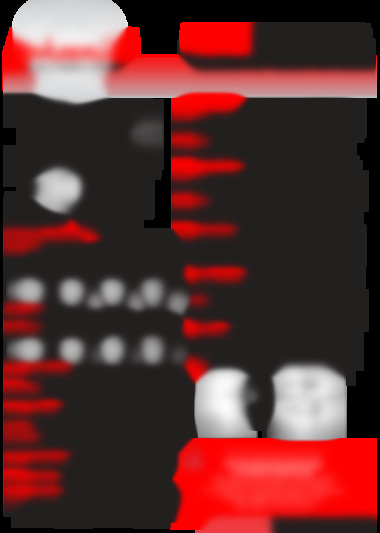 ss0100