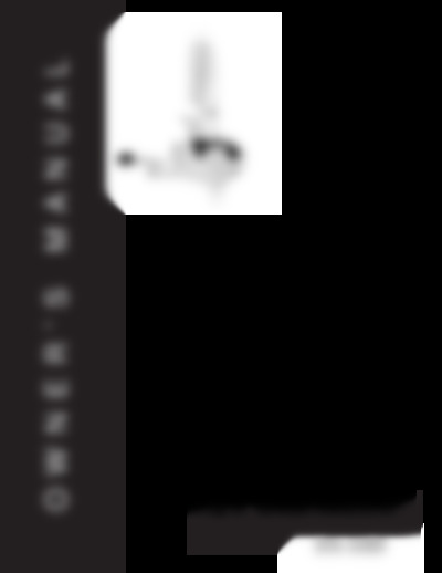 280