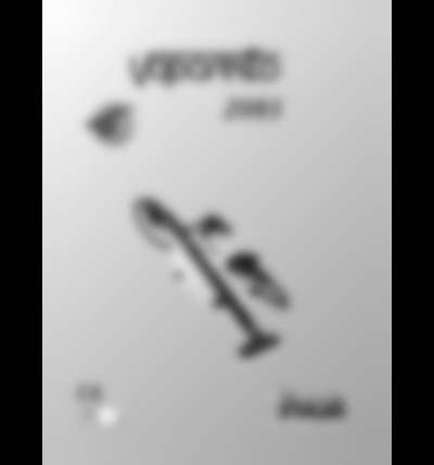 vaporetto 2085